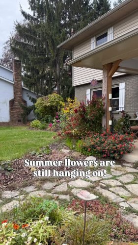 Video post from backyardcolumbus.