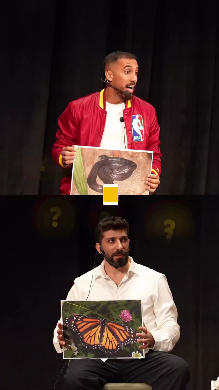 Video post from omar_abuz.