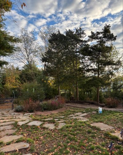 Photo post from mireade2025.