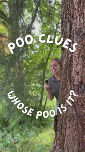 Video post from yourbcparks.