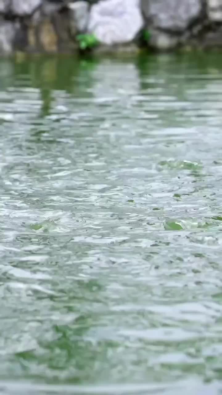 Video post from jakeltextile.