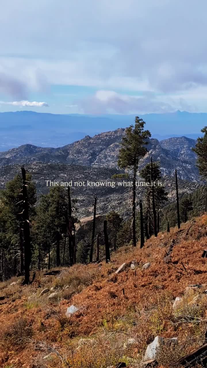 Video post from visittucson.