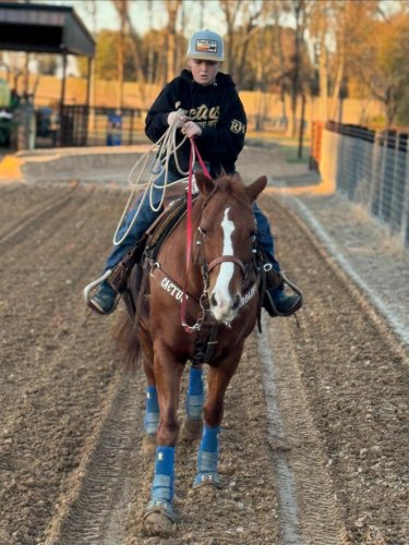 Carousel post from reddirthatco.