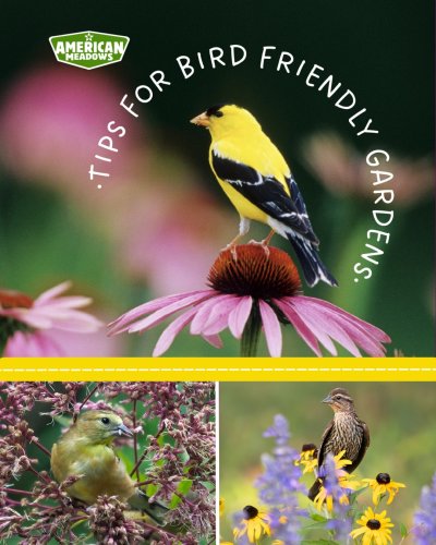 Carousel post from americanmeadows.