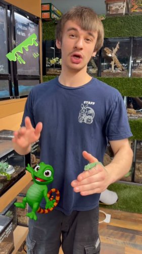 Video post from njexoticpets.