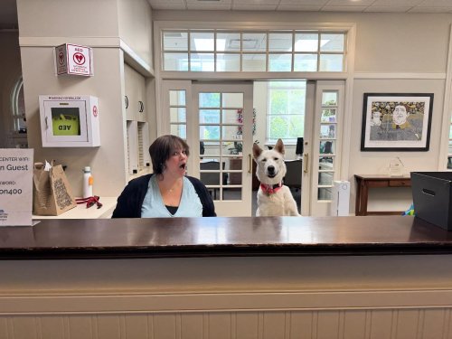 Photo post from gortoncenterlf.