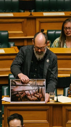 Video post from nzgreenparty.