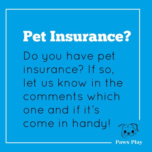 Photo post from pawsplaysandiego.