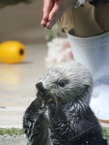 Photo post from maochan3270.