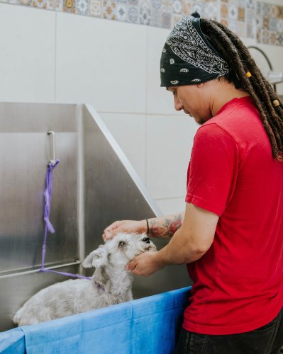 Photo post from medicalpettj.