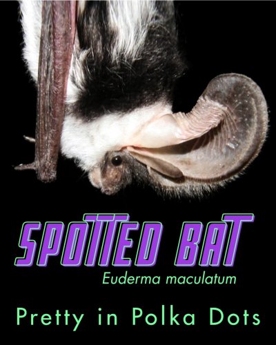 Carousel post from nwbathub.