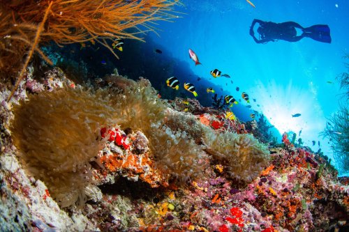 Photo post from nokumaldives.