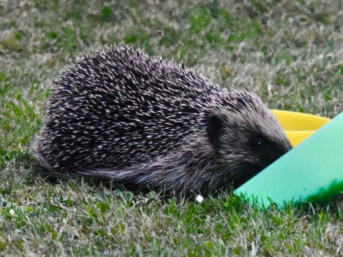 Photo post from 2shoresrecruitment.