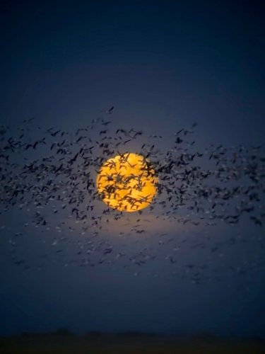 Photo post from northernskiesoutfitters.