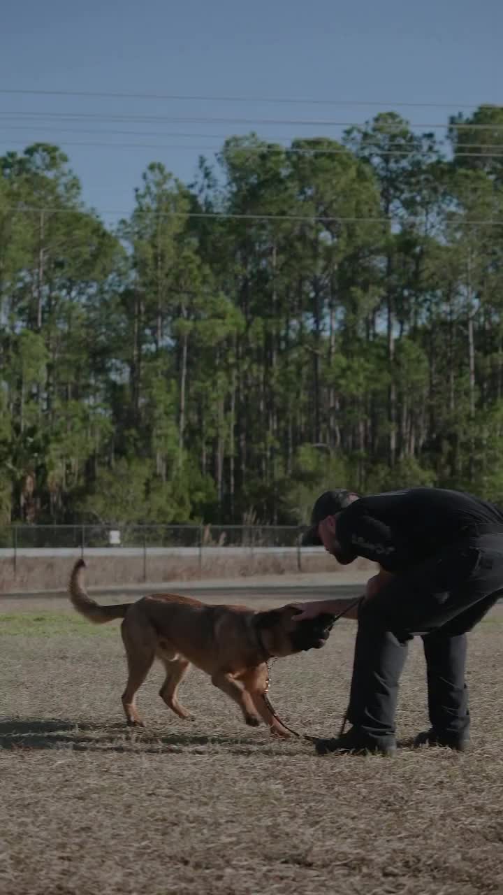 Video post from daytonabeachpolice.