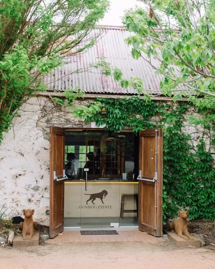 Video post from gundogestate.