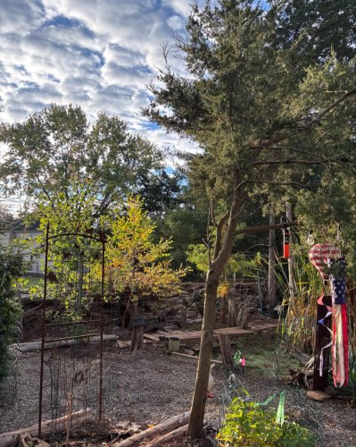 Photo post from mireade2025.