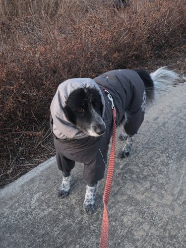 Carousel post from bbo_life_.