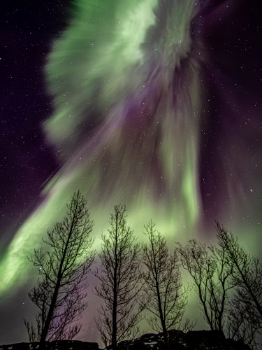 Photo post from rpslandscape.