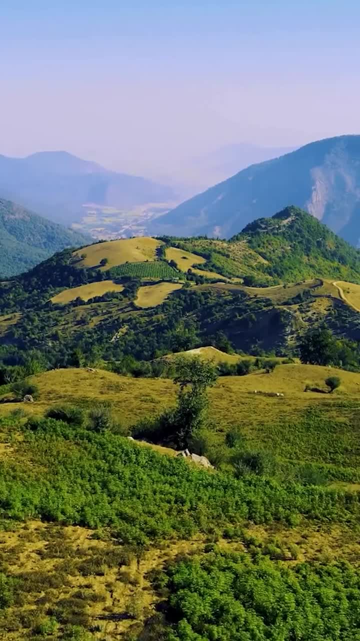 Video post from reomaori.