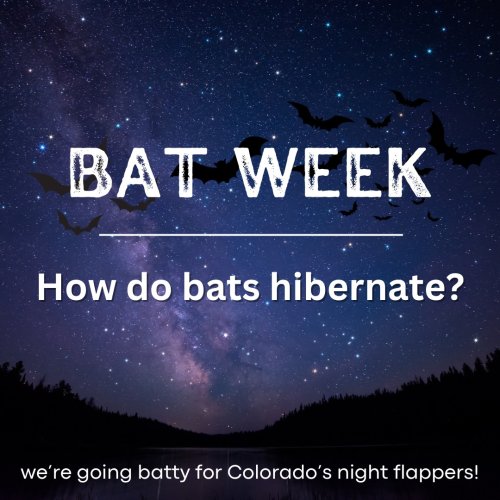 Photo post from jeffcoopenspace.