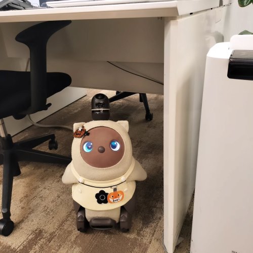 Photo post from lovot_cabby.