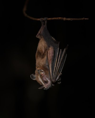 Photo post from felipediazfoto.