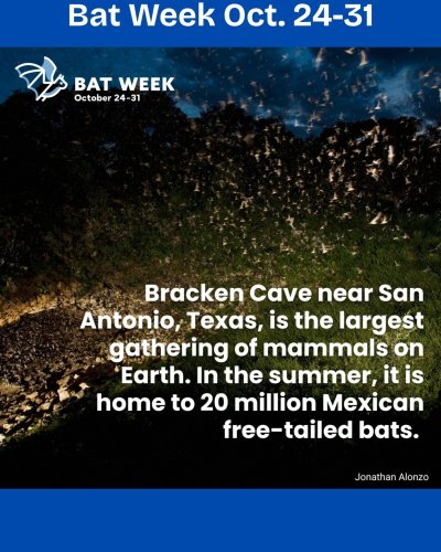 Photo post from maryestherlibrary.