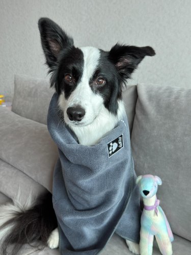 Carousel post from reoonthewaves.