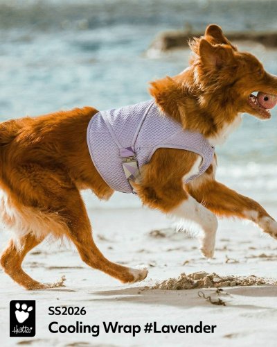 Carousel post from hurttakorea.