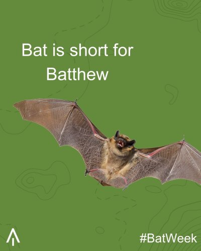 Carousel post from nafo_forests.