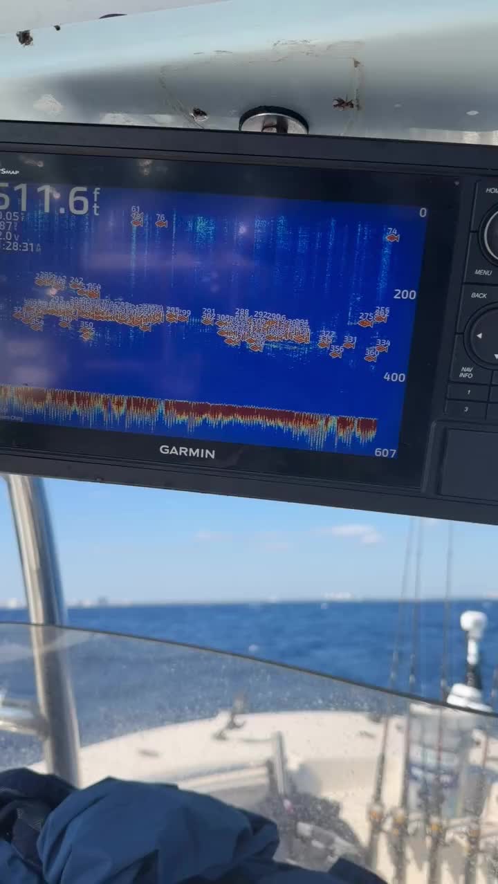 Video post from ejs_fishing_charters.