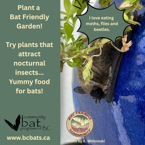 Photo post from rdosinfo.