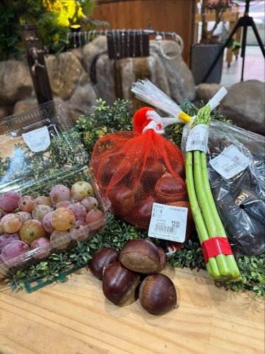 Carousel post from daisenbou.