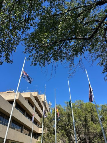 Photo post from alburycity.