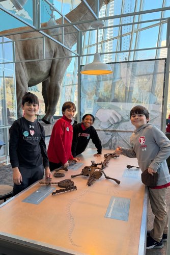 Carousel post from saeslions.