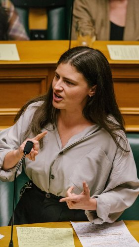 Video post from nzgreenparty.