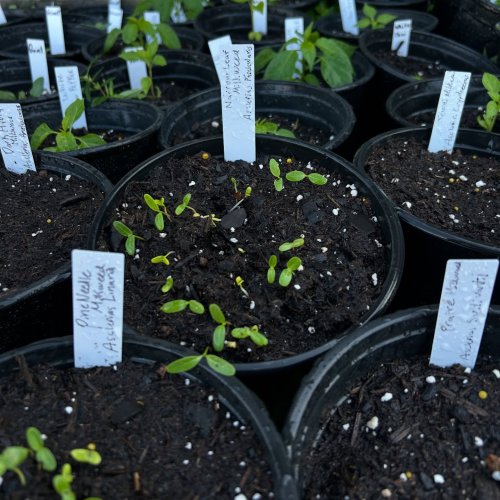 Photo post from diggin.for.dreams.