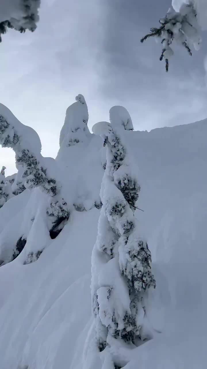 Video post from gnusnowboards.