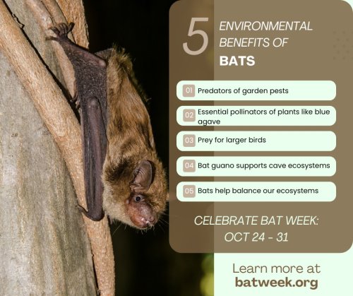 Photo post from gaiacollege.