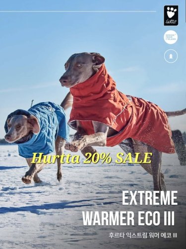 Carousel post from eddielouis_official.