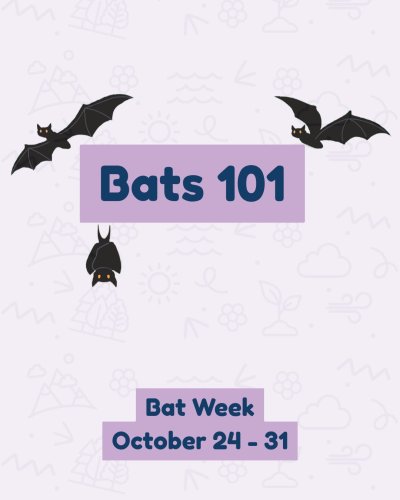 Carousel post from girlguidesofcanada.