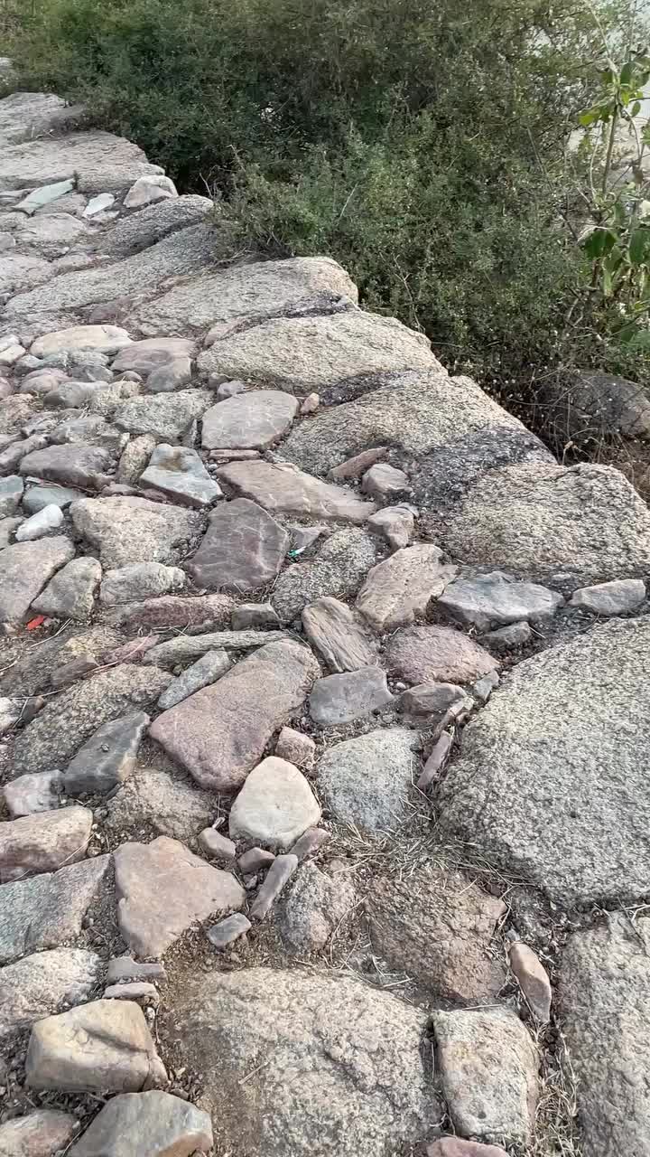 Video post from saahas_ngo.