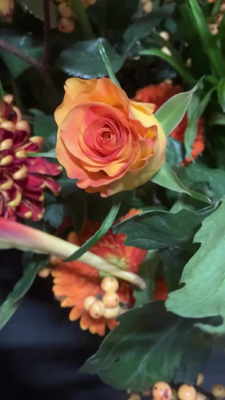 Video post from dellemannbloemen.
