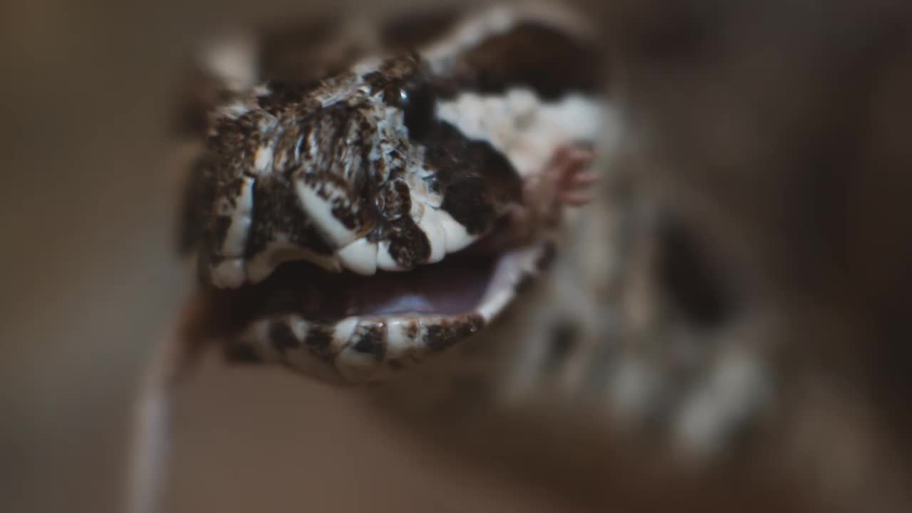 Video post from jhbgroup1.