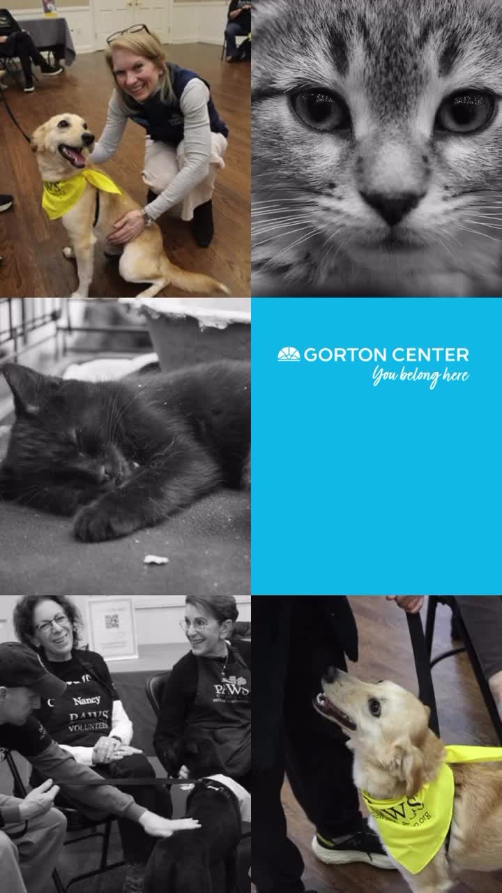 Video post from gortoncenterlf.
