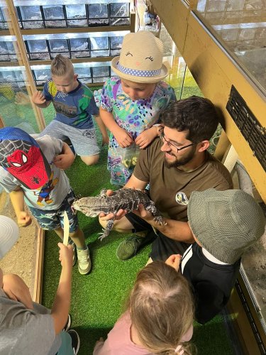 Photo post from kamzajtra.