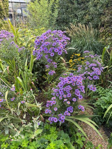 Photo post from gardenhousebrighton.