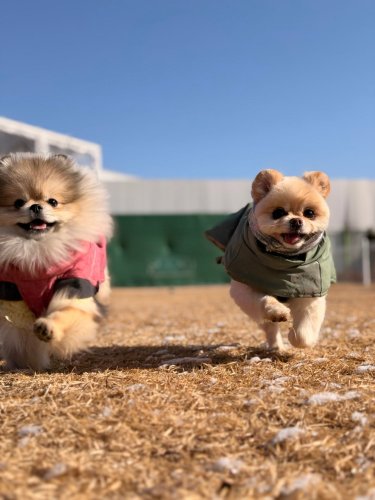 Carousel post from son_som224.