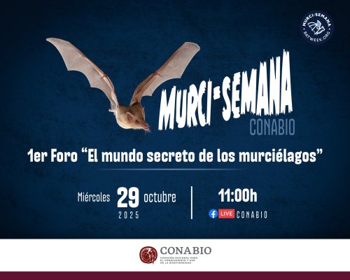 Photo post from conabiomx.